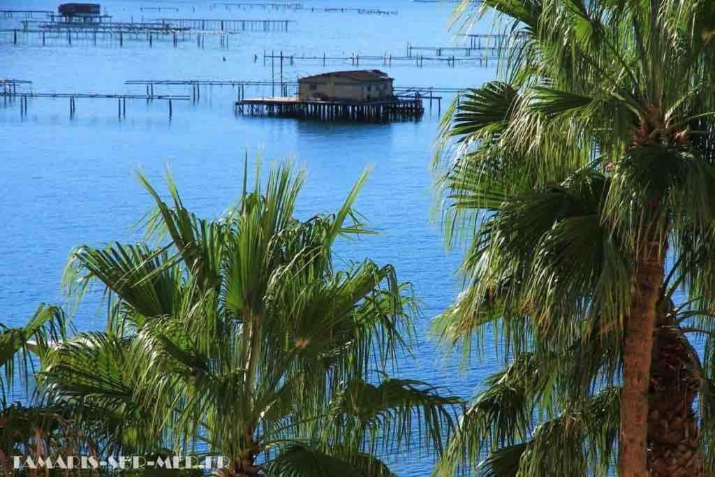 滨海拉塞讷Les Pieds Dans L'Eau公寓 外观 照片